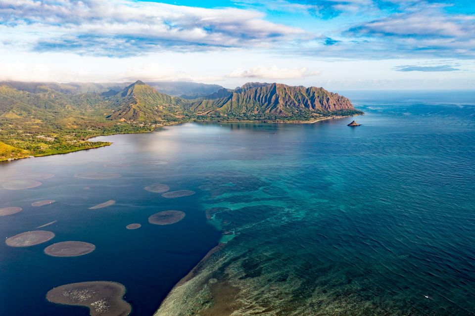 Oahu: Kaneohe Bay Coral Reef Kayaking Rental - Key highlights you’ll care about