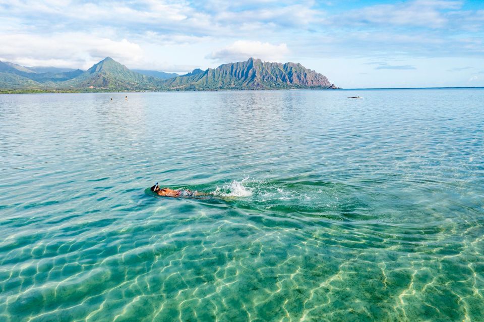 Oahu: Kaneohe Bay Coral Reef Kayaking Rental - From Active Oahu Tours to the Reefs: The Paddle Plan That Saves Time