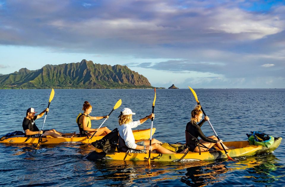 Oahu: Kaneohe Bay Coral Reef Kayaking Rental - Who Should Book This Kaneohe Bay Rental (and Who Might Prefer a Guided Tour)