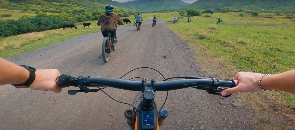 Oahu: Kualoa Electric Bike Tour - Who should book, and who should skip this ebike experience