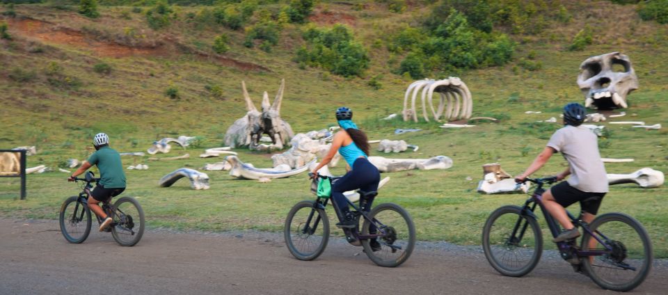 Oahu: Kualoa Electric Bike Tour - Your 3-hour window: training, then about 6 miles guided