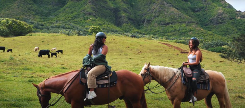 Oahu: Kualoa Hills and Valleys Horseback Riding Tour - Pace, Horse Comfort, and the Beginner Reality Check