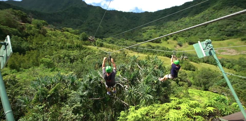 Oahu: Kualoa Jurassic Valley Zipline Tour - Price and What You Actually Get for $205