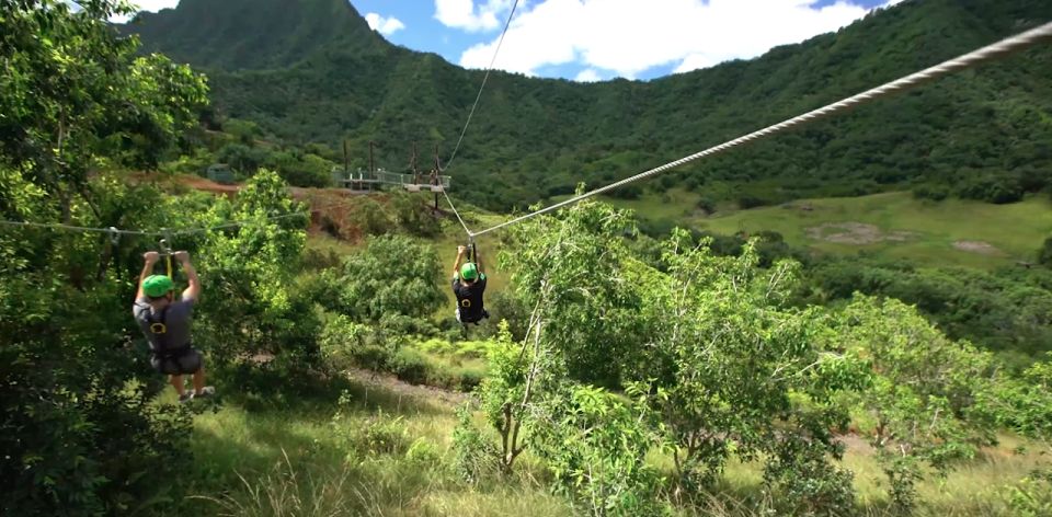 Oahu: Kualoa Jurassic Valley Zipline Tour - Who This Tour Suits Best on Oahu