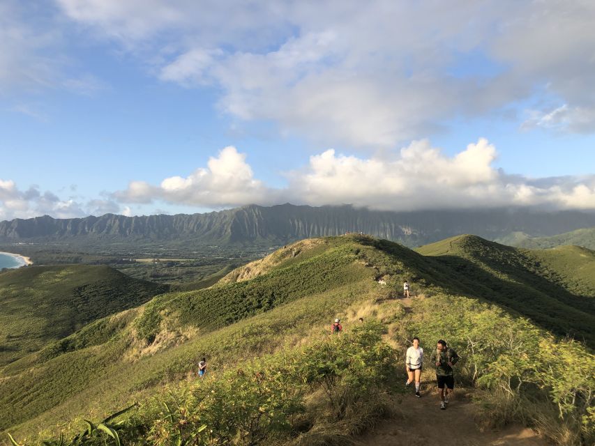 Oahu: Manoa Falls Hike and east side beach day - Key highlights you’ll actually feel