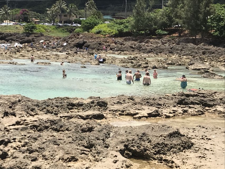 Oahu: Manoa Falls Hike and east side beach day - Price and value: what $150 buys you in real terms