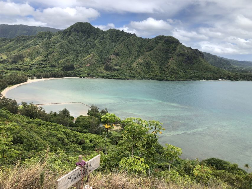 Oahu: Manoa Falls Hike and east side beach day - From pickup to rainforest mode in a Mercedes van