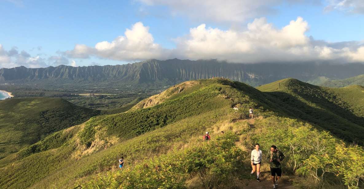 Oahu: Manoa Falls Hike and east side beach day - The guide factor: Shamus, Seamus, and Sandy’s calm presence
