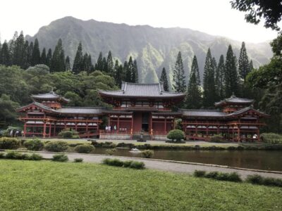 Oahu: Manoa Falls Hike and east side beach day - Manoa Falls: the rainforest hike and that 300-foot payoff