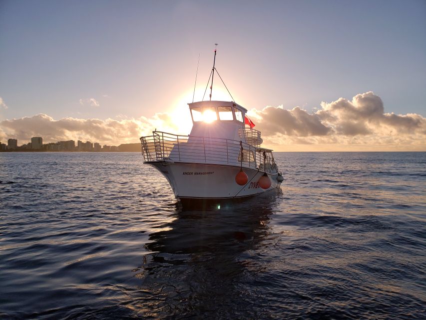 Oahu Night Dive: Adventure for Certified Divers - Why Oahu’s south shore shines after sunset