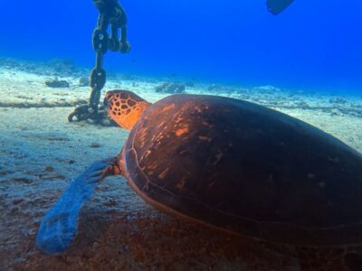 Oahu Night Dive: Adventure for Certified Divers - Getting to the harbor and using the boat setup to your advantage