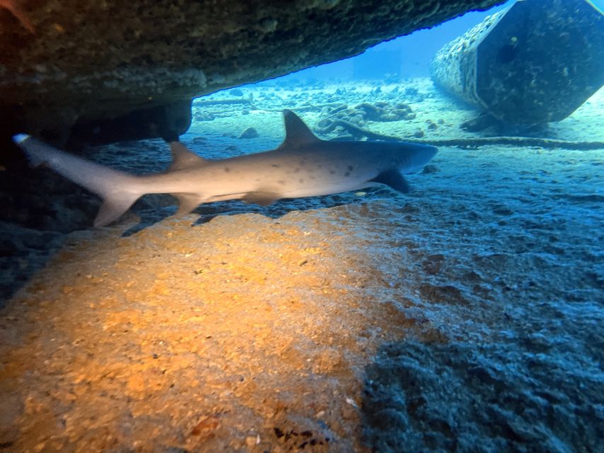 Oahu Night Dive: Adventure for Certified Divers - Second stop in complete darkness with complimentary lights