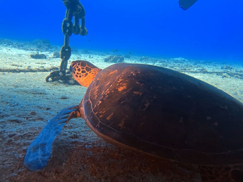 Oahu Night Dive: Adventure for Certified Divers - Getting to the harbor and using the boat setup to your advantage