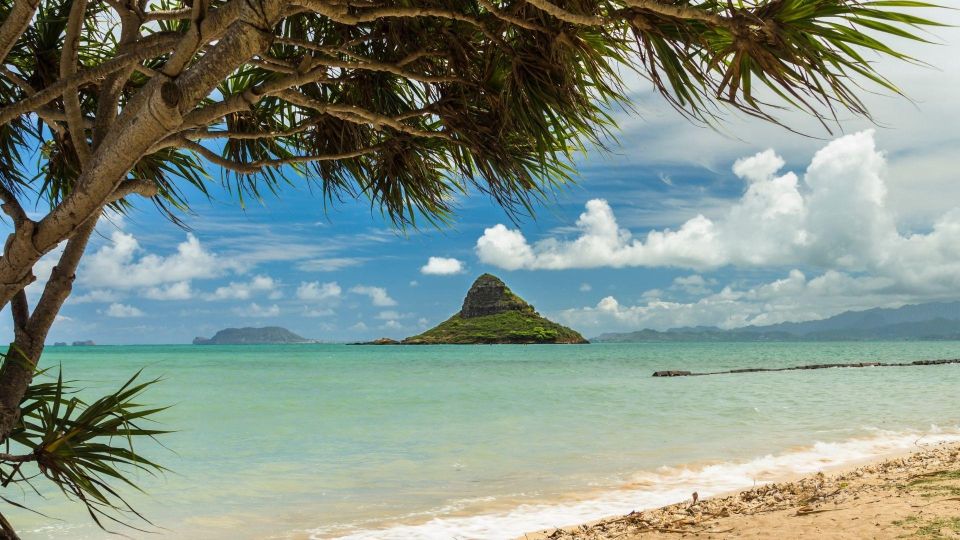 Oahu: North Shore Circle Island Small-Group Tour - What You Get for $111: A 6.5-Hour Loop Covering Almost the Whole Island