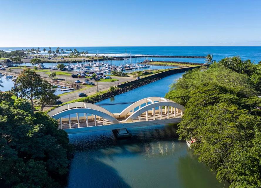 Oahu: North Shore Dole Pineapple Farm Tour - North Shore beach time: a quiet pause and wildlife spotting chances