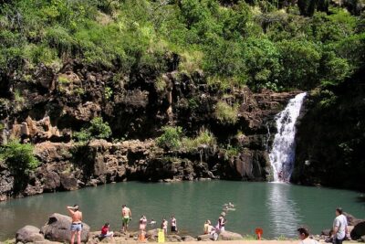 Oahu North Shore Experience: Activities, Waterfall & Free Time - Waimea Bay to tree tunnels: picking your best North Shore time