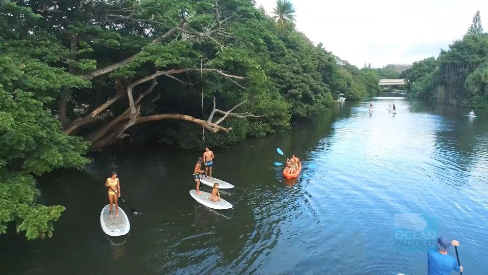 Oahu: North Shore Haleiwa Paddleboard River Adventure - Photos, Wildlife, and the “Fun Bonus” Factor