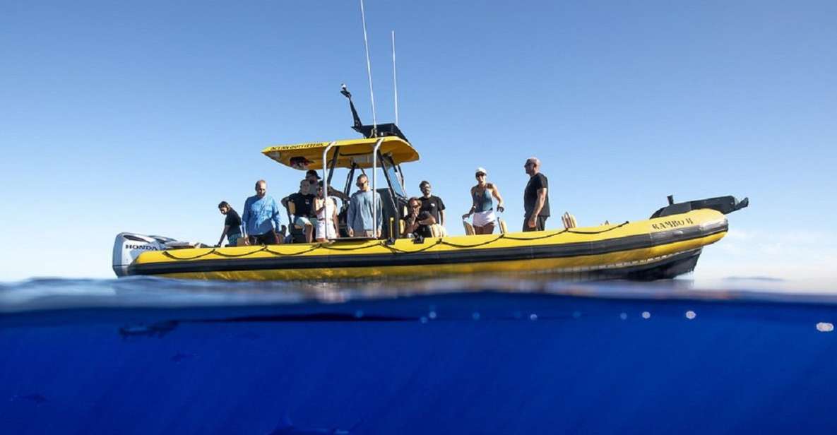 Oahu: North Shore Marine Life Tour from Haleiwa - Haleiwa Harbor: Parking, Dock Signs, and the Yellow Rambo II