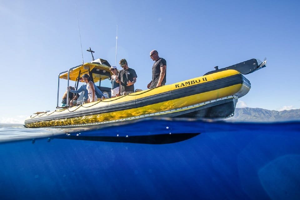 Oahu: North Shore Snorkeling Tour from Haleiwa - Key Points You’ll Care About