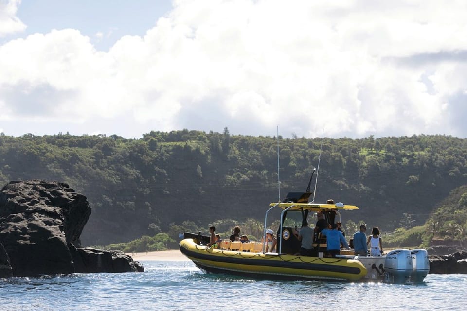 Oahu: North Shore Snorkeling Tour from Haleiwa - What Snorkeling Time Feels Like Here (and What You’re Trying to Spot)
