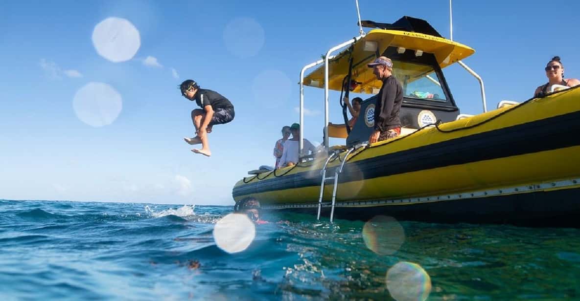 Oahu: North Shore Snorkeling Tour from Haleiwa - Who This Tour Fits Best (and Who Should Reconsider)