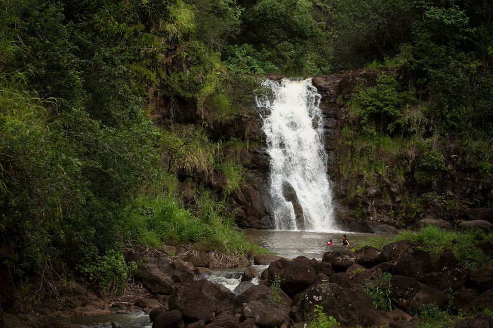 Oahu: North Shore Waterfall Swim - North Shore Waterfall Swim: Why This One Feels Different