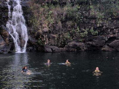 Oahu: North Shore Waterfall Swim - Waimea Valley’s Botanical Walk: The 1 Mile That Sets the Tone