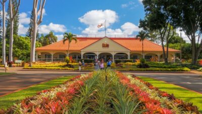 Oahu: Oahu Ultimate Grand Circle Island Tour - Getting on the Bus: Pickup at Hyatt Regency Waikiki and Meeting-Point Reality