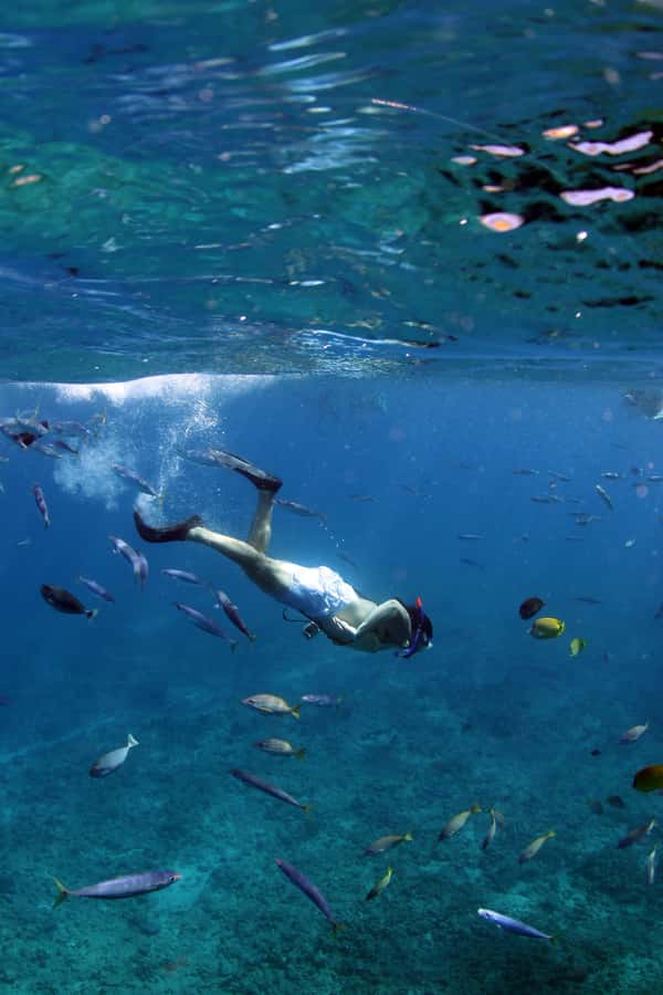 Oahu: Off road Stand-Up ATV and Sunset Snorkel Cruise - Key Highlights Worth Planning For