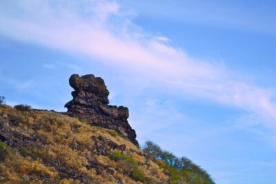 Oahu Off the Beaten Path Small-Group Tour from Honolulu - Start at the Honolulu Zoo and Enjoy the Small-Group Advantage