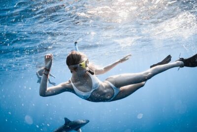 Oahu Open Water Shark Diving Experience - The Route Around Oahu: Haleiwa, North Shore, Waimea Bay, Puaena Point