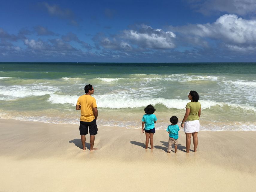 Oahu: Private Best of Oahu Sightseeing Tour - North Shore Route: Beaches, Dole Plantation, and Green World Coffee