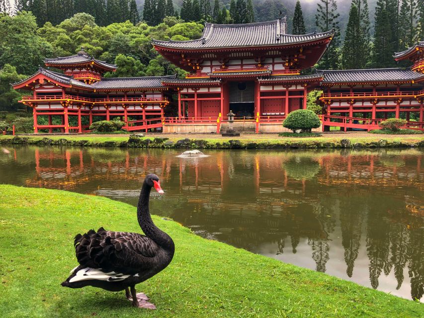 Oahu: Private Best of Oahu Sightseeing Tour - Photography on the Road: How to Actually Capture Oahu
