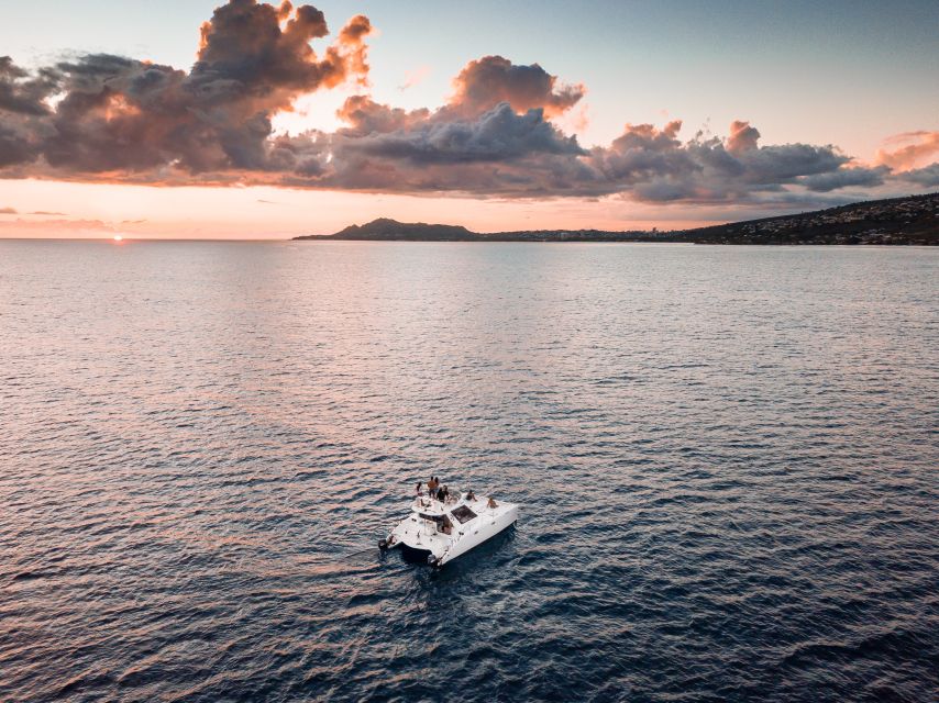 Oahu: Private Catamaran Sunset Cruise & Optional Snorkeling - Wildlife Odds: Turtles, Dolphins, Monk Seals, and Whales
