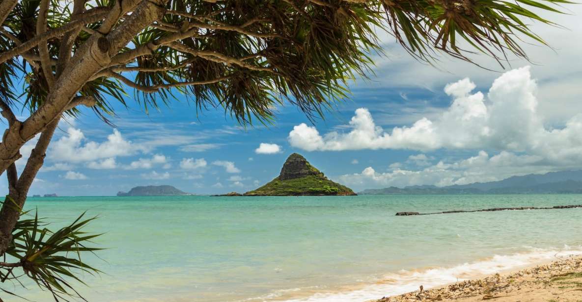 Oahu: Private Custom Island Tour - Your Private Oahu Day Starts Smoothly in Waikiki
