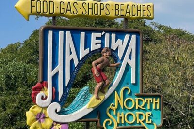 Oahu Private Tour North Shore, Waimea Falls and Dole Plantation - Laniakea Beach turtle watching with the right distance
