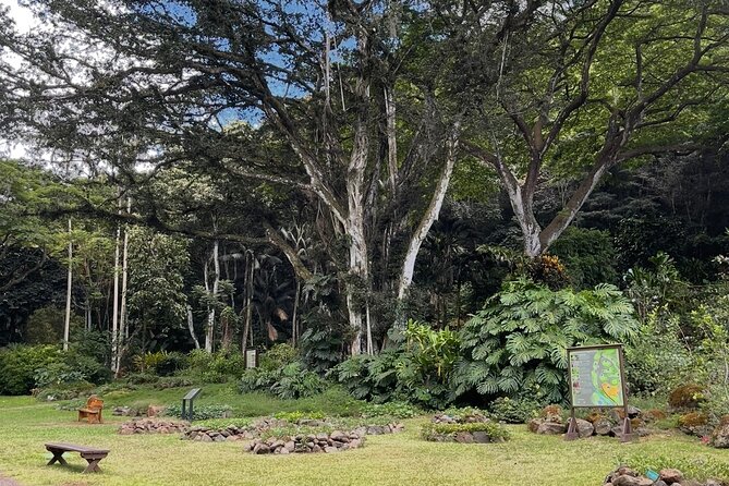 Oahu Private Tour North Shore, Waimea Falls and Dole Plantation - Macadamia stop and Haleiwa: snacks, shopping, and local flavor