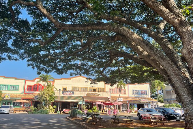 Oahu Private Tour North Shore, Waimea Falls and Dole Plantation - The guide makes the difference (especially Mayra)