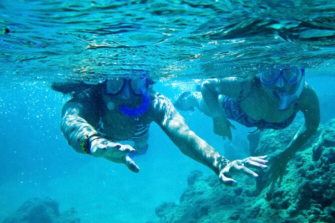Oahu Private Tour North Shore, Waimea Falls and Dole Plantation - What you’re really paying for: $385 plus a few extras