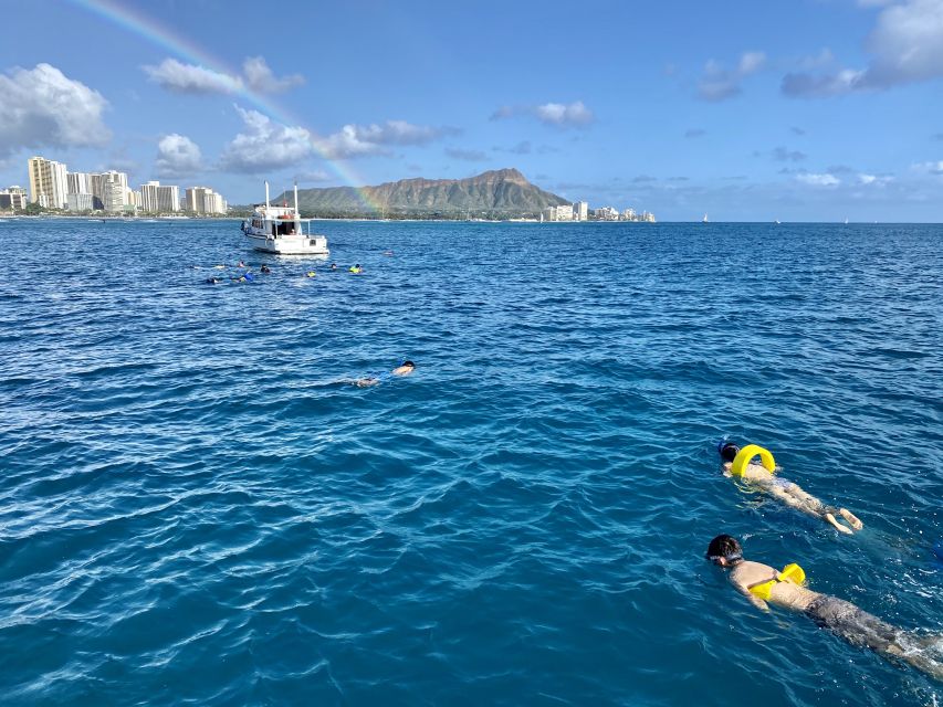 Oahu: Private Turtle Snorkeling with Customizable Itinerary - Key things that make this charter stand out