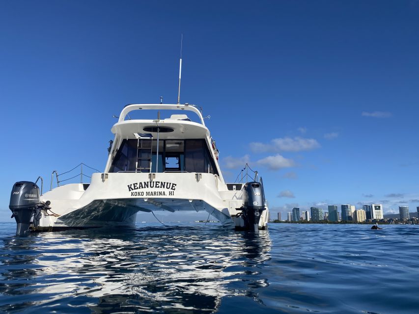 Oahu: Private Turtle Snorkeling with Customizable Itinerary - Who Should Book This Charter (and Who Should Skip It)