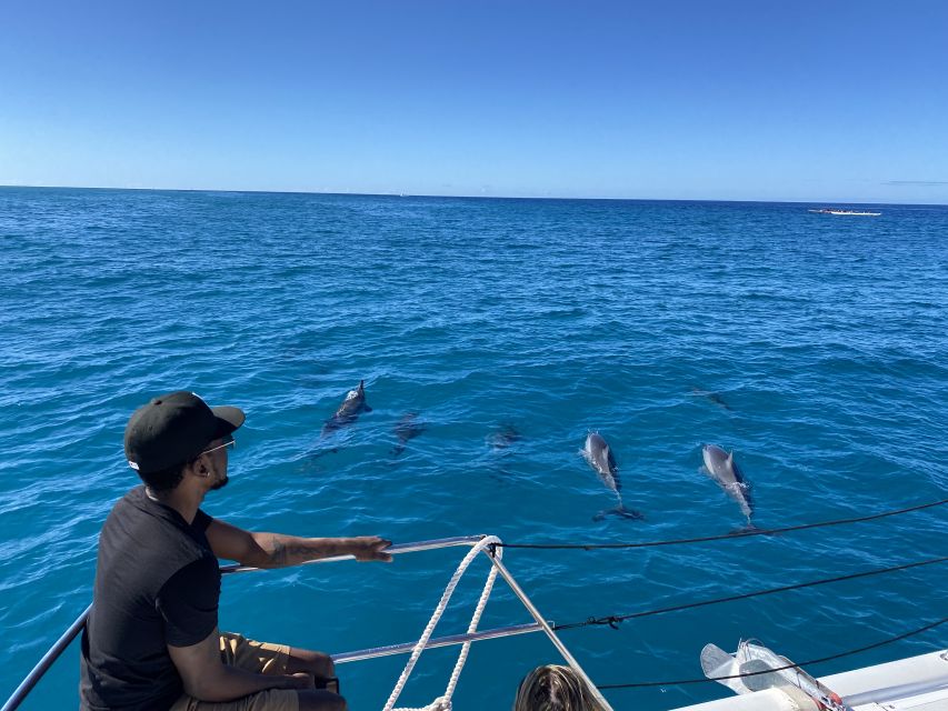 Oahu: Private Turtle Snorkeling with Customizable Itinerary - Diamond Head Photo Stop and Waikiki Wildlife Viewing