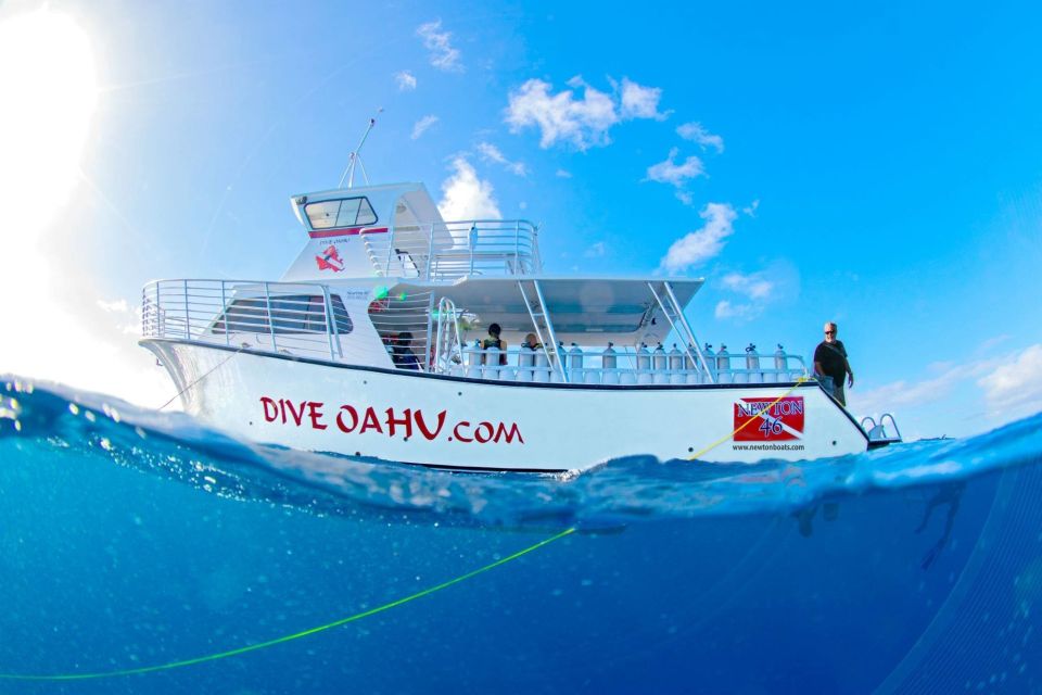 Oahu: Shallow Reef Scuba Dive for Certified Divers - Key highlights worth planning around