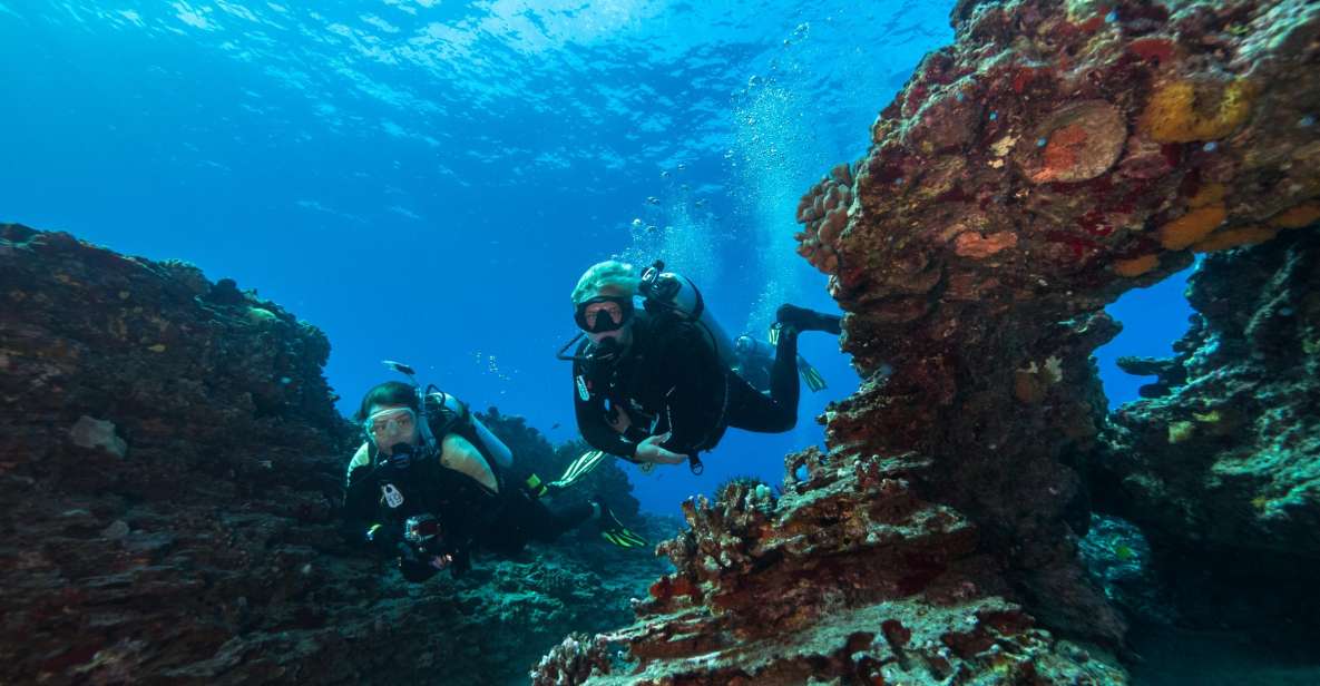 Oahu: Shallow Reef Scuba Dive for Certified Divers - Kaiser’s Reef: Shallow, active, and built for wildlife spotting