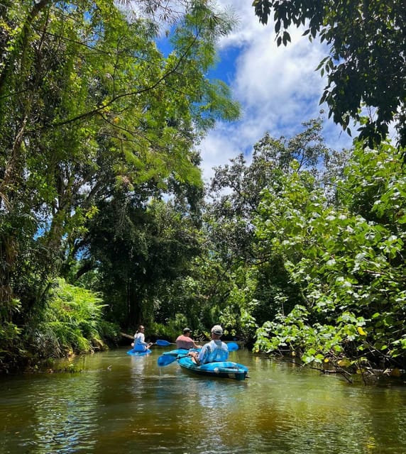 Oahu: Single & Double Kayak 3-Hour River Rental - Key points before you paddle