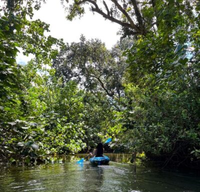 Oahu: Single & Double Kayak 3-Hour River Rental - Single kayak vs double kayak: choose your comfort style