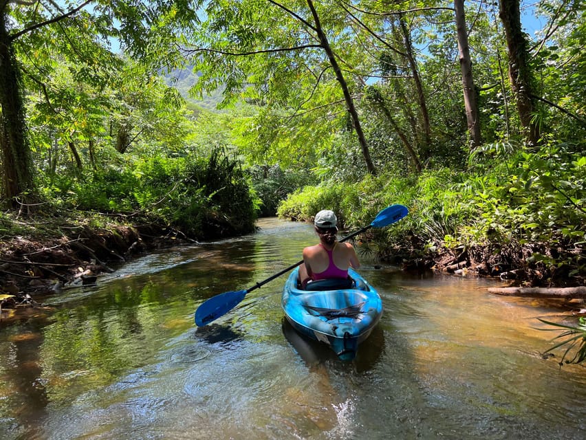 Oahu: Single & Double Kayak 3-Hour River Rental - Price and value: what $75 per person includes (and what it doesn’t need)