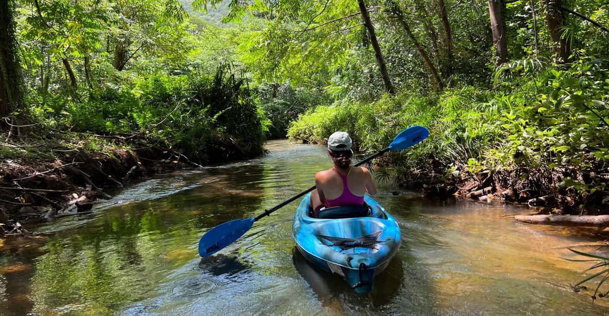Oahu: Single & Double Kayak 3-Hour River Rental - Safety reality check: life jackets, paddles, and who should skip this