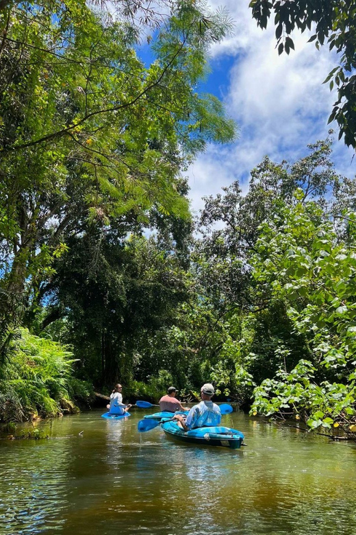 Oahu: Single & Double Kayak 3-Hour River Rental - Pacing tips that make the 3 hours feel longer