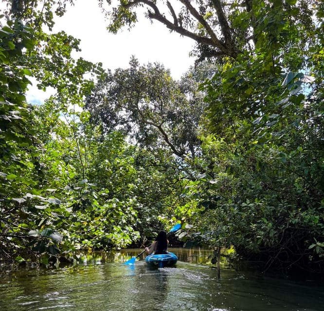 Oahu: Single & Double Kayak 3-Hour River Rental - Single kayak vs double kayak: choose your comfort style